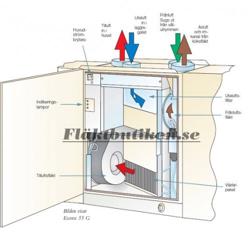 Enessen Essvex 55 Filter
